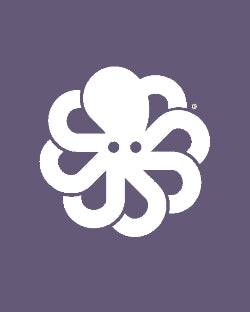 JONSEN ISLAND T-SHIRT CLASSIC MARLO Grape fade out