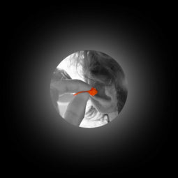 EQ BOUCHONS D'OREILLES