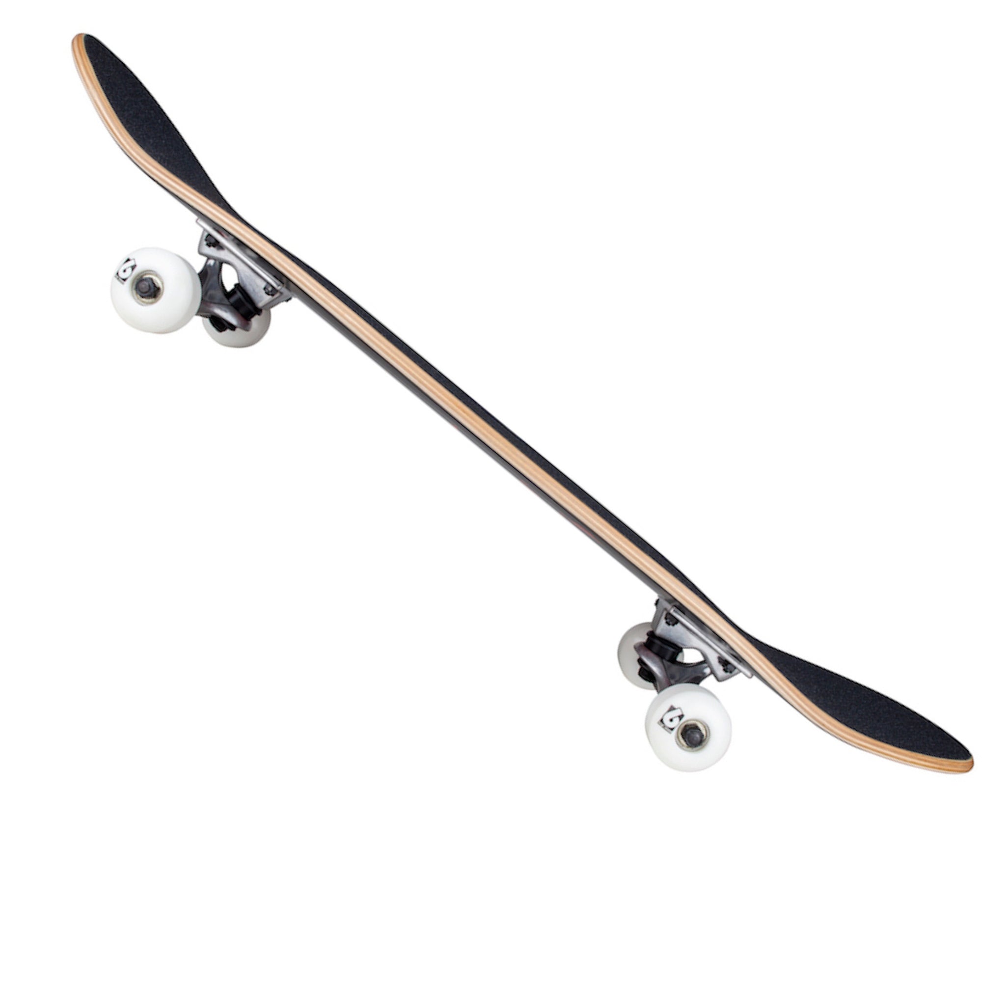 détail de la forme du plateau de skate