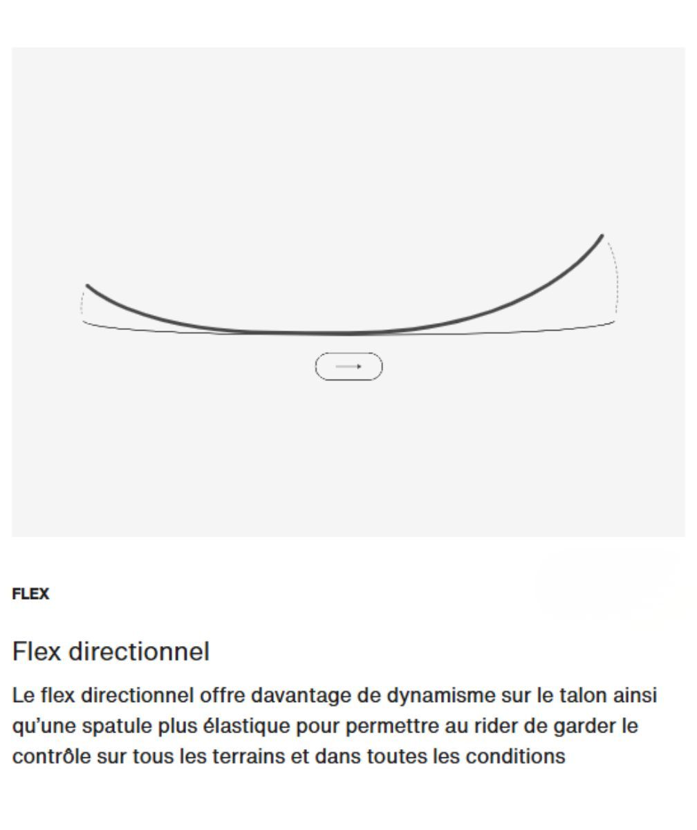 schéma flex directionnel snowboard Burton Cartographer 149