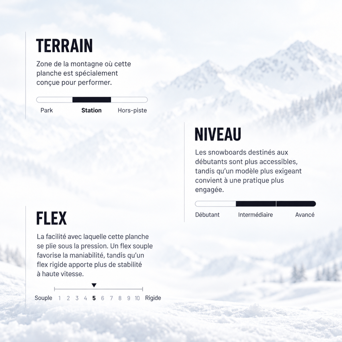 infographie avec terrain, niveau et flex du snowboard DPR de lib tech
