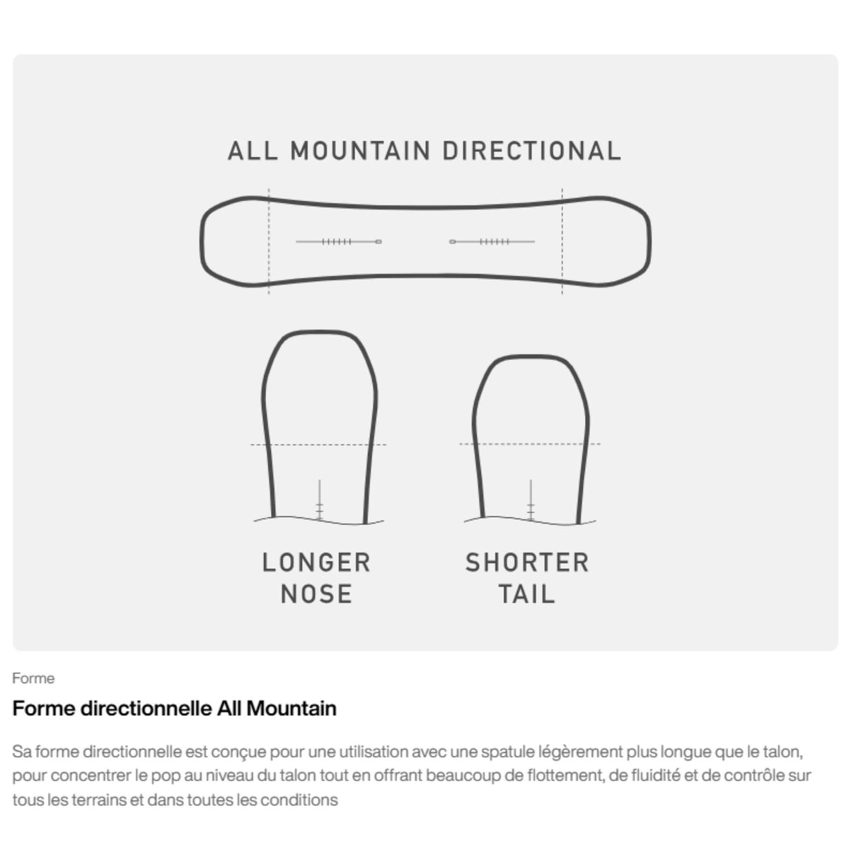 Diagramme du shape directionnel, comparant la géométrie et les proportions du nose et du tail