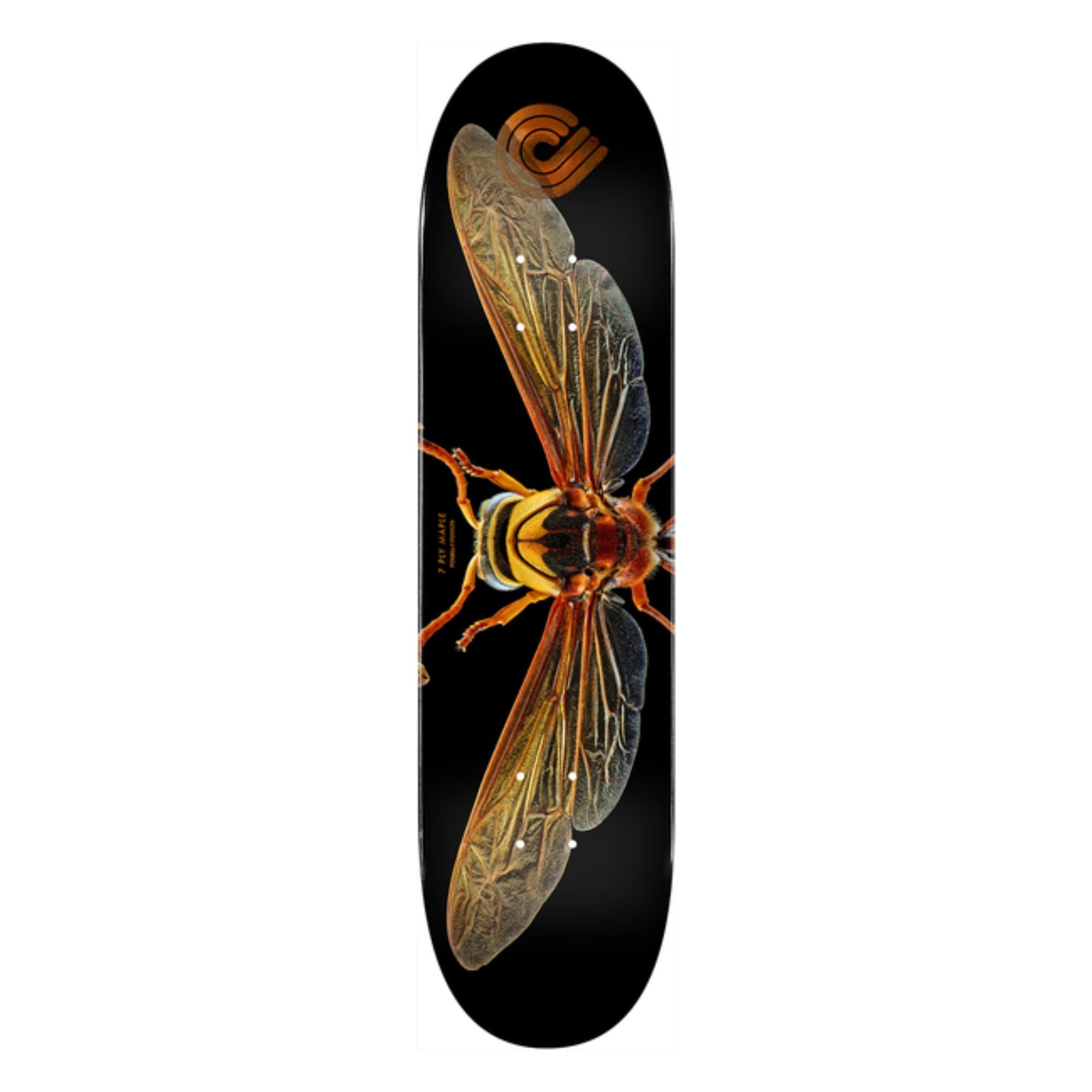 POWEL PERRALTA PLATEAU SKATE POTTER Multicolore