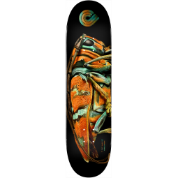 POWELL PERALTA PLATEAU PS BISS JEWEL BEETLE 9,05"