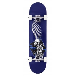 BIRDHOUSE SKATE COMPLET FULL SKULL 2 blue