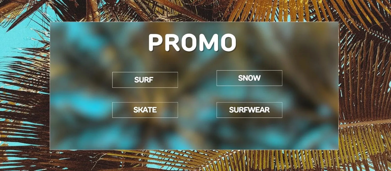 promotions surf snowboard skate et surfwear