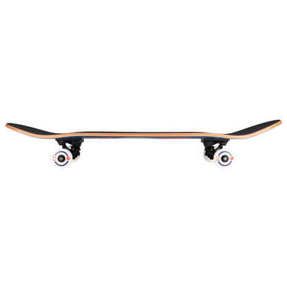 BIRDHOUSE SKATE COMPLET STAGE 3