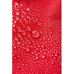 KATIN BOARDSHORT WATERMAN TRUNK Red