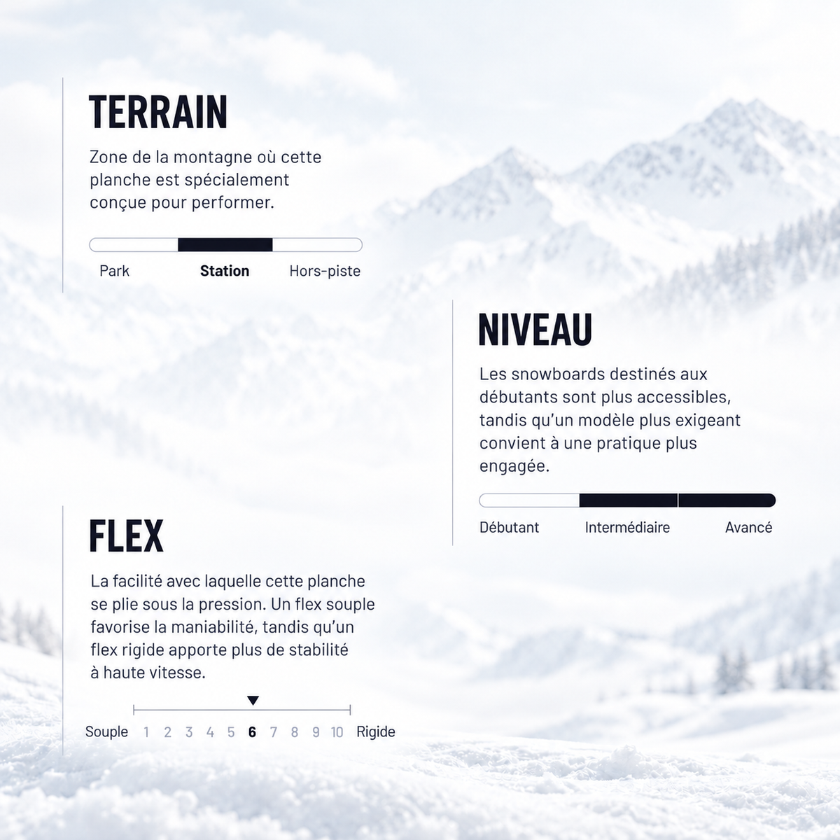 infographie du terrain, niveau et flex du snowboard dpr lib tech