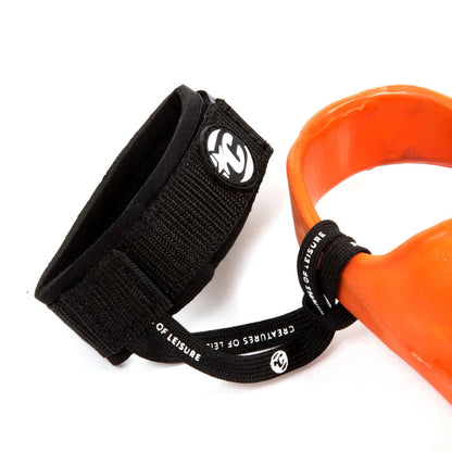 zoom leash attache a une palme