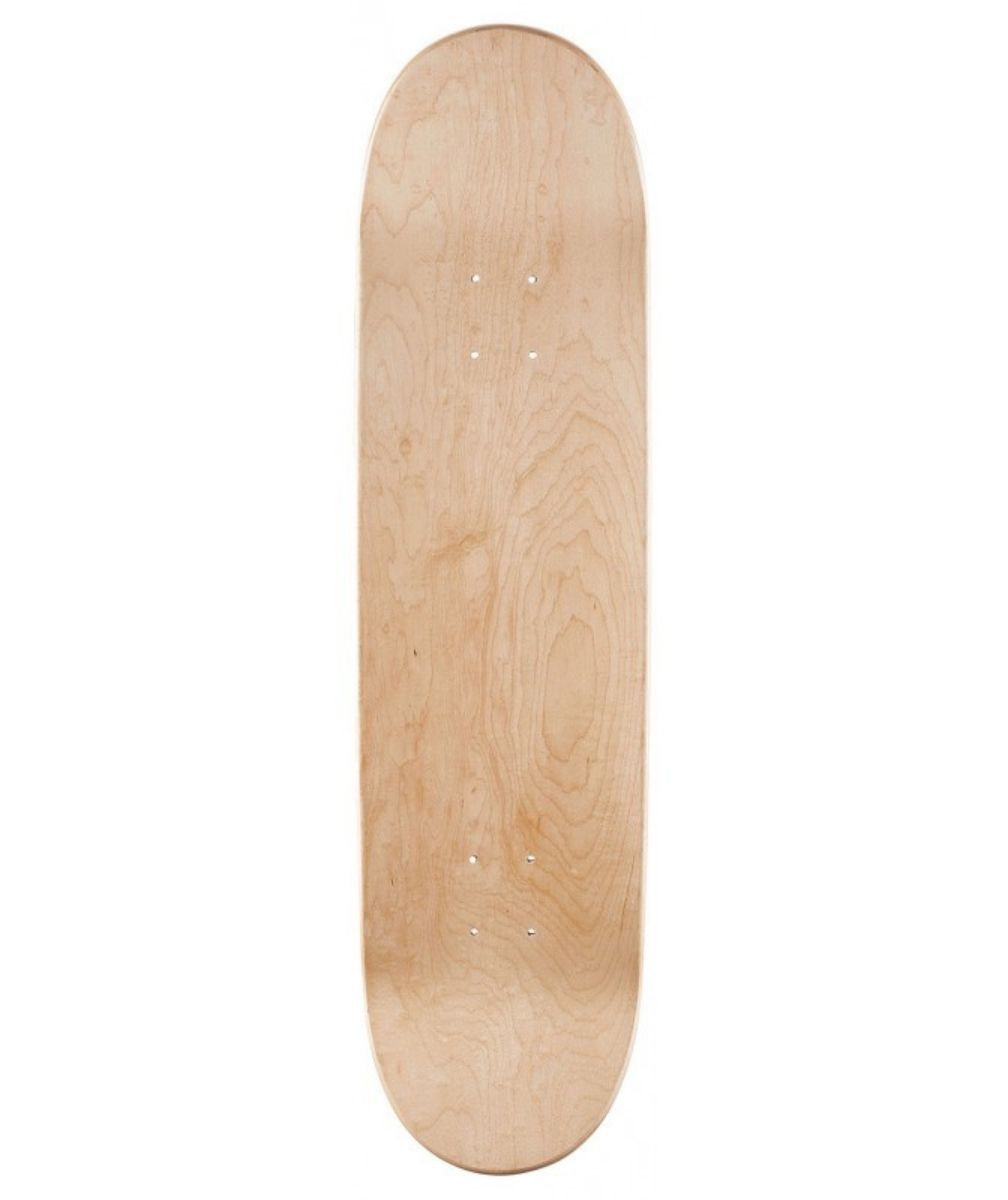 POWELL PERALTA PLATEAU SALMAN AGAH LION 8"