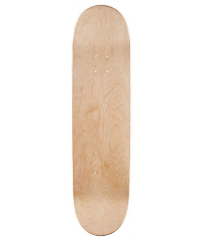 POWELL PERALTA PLATEAU SALMAN AGAH LION 8"