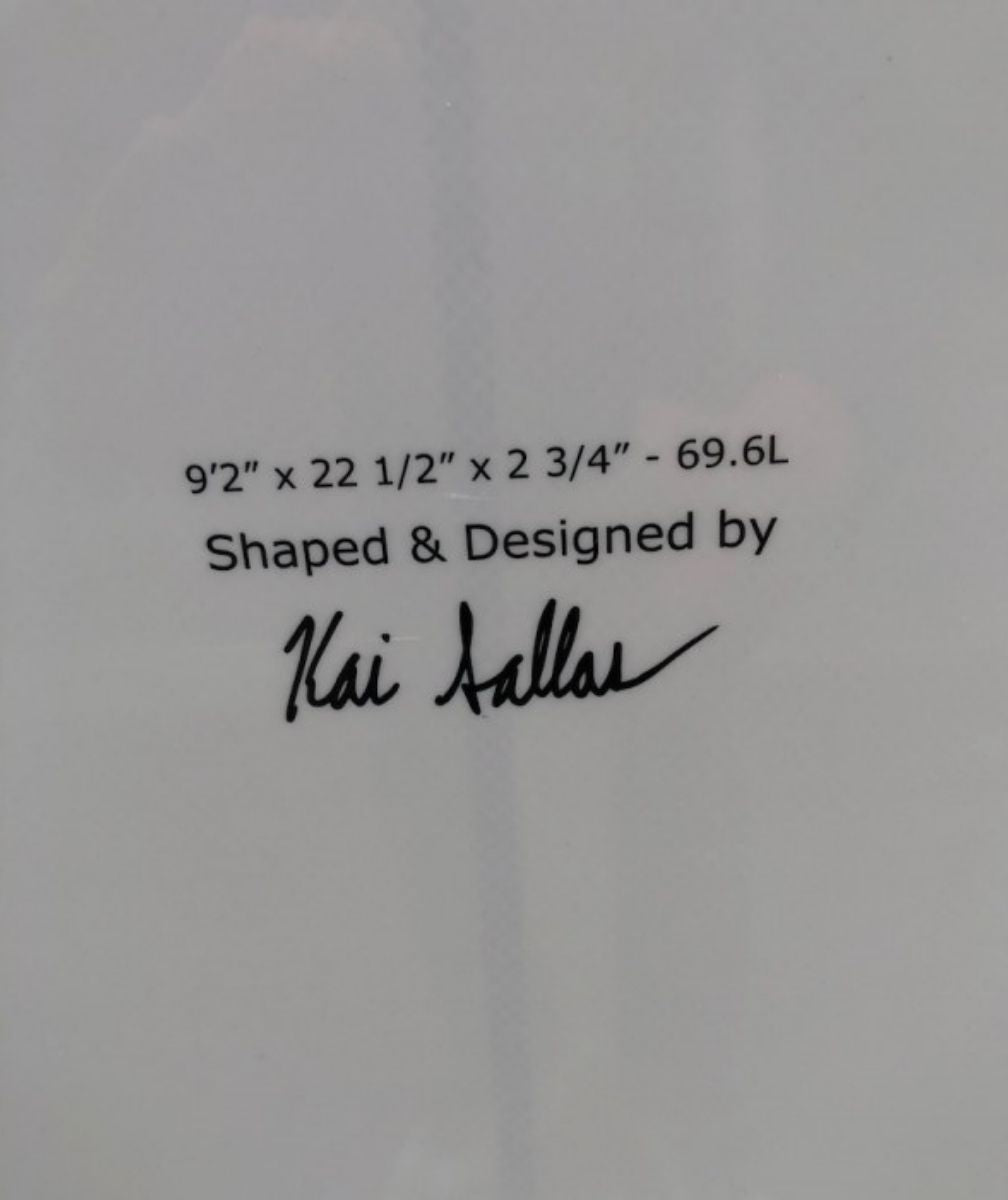 THUNDERBOLT KAI SALLAS WAIKIKI 9'2" Silver Volan