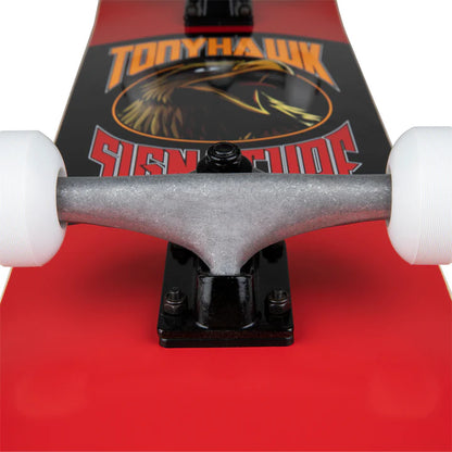 zoom truck